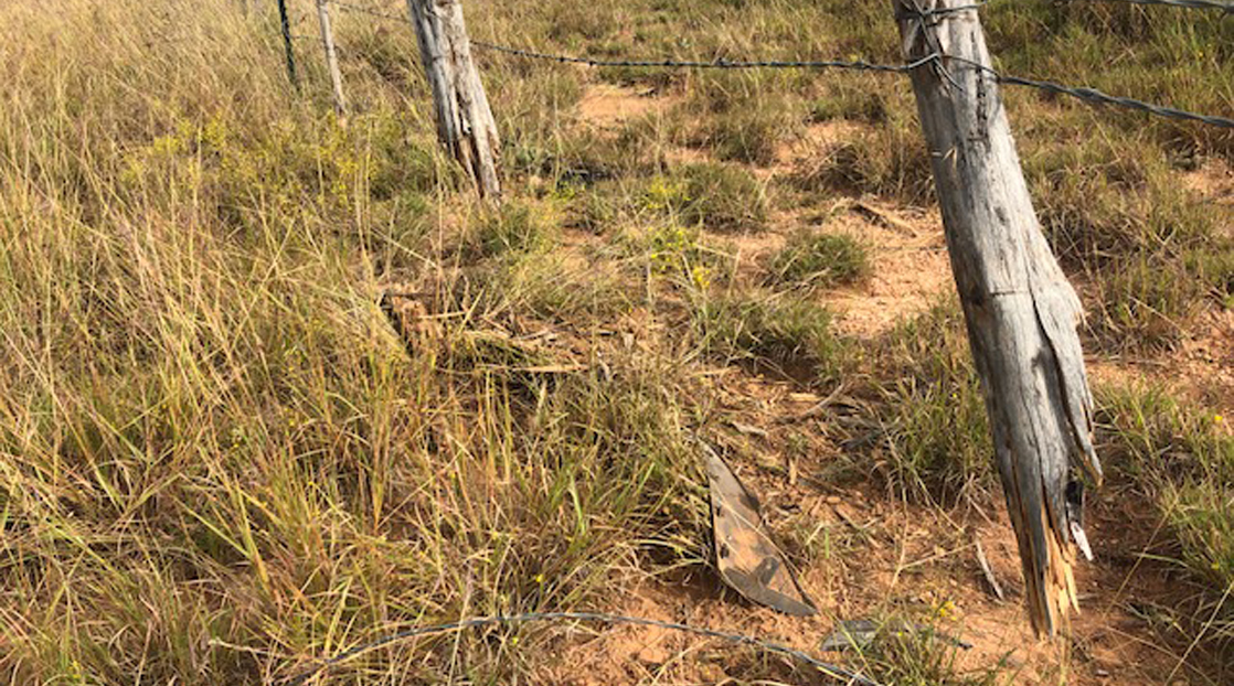 Pieces of Hernandez's Car Located in Empty Field in Jones County (Contributed Photo / Daniela Ibarra)