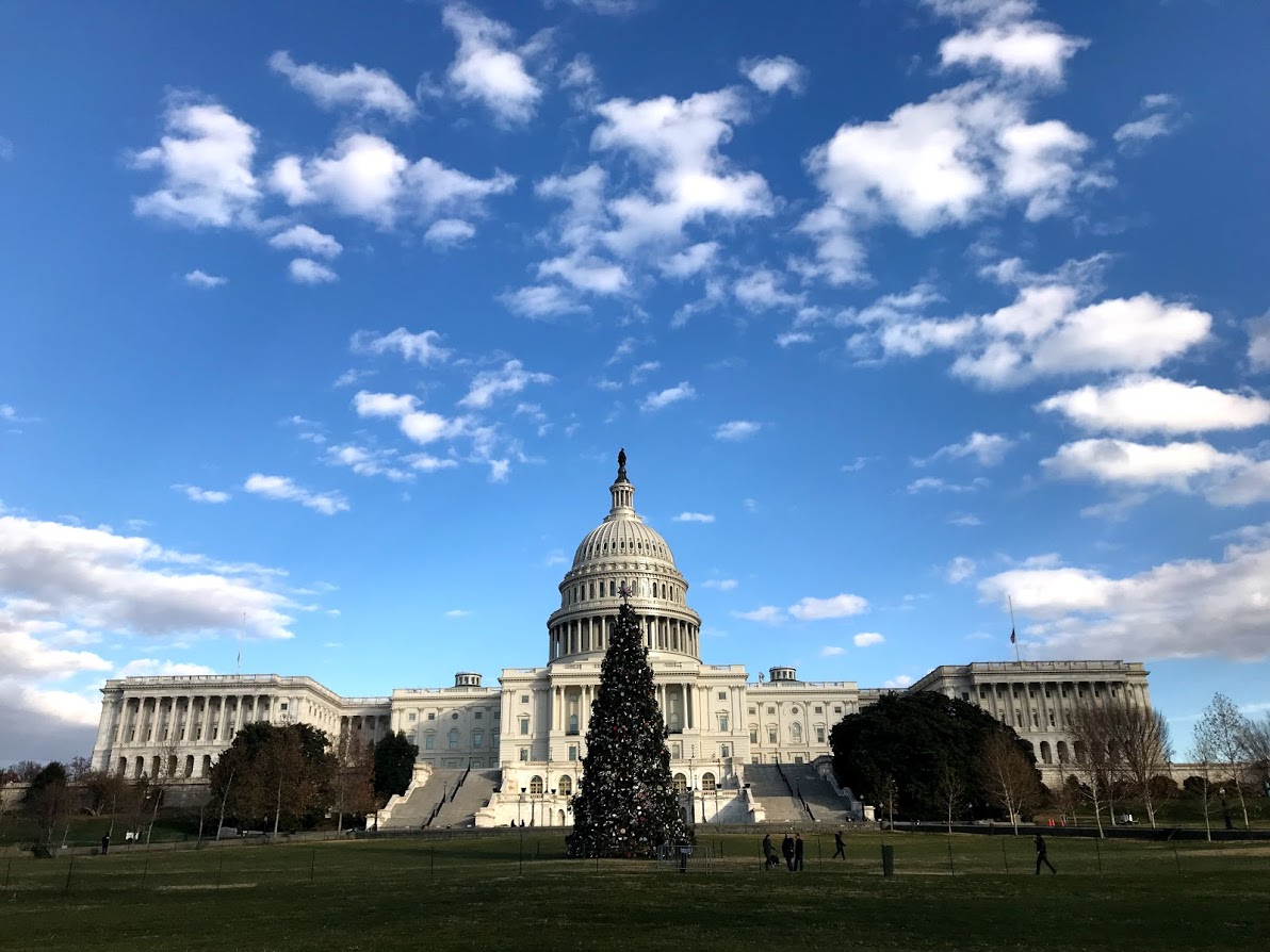 The U.S. Capitol in Washington, DC