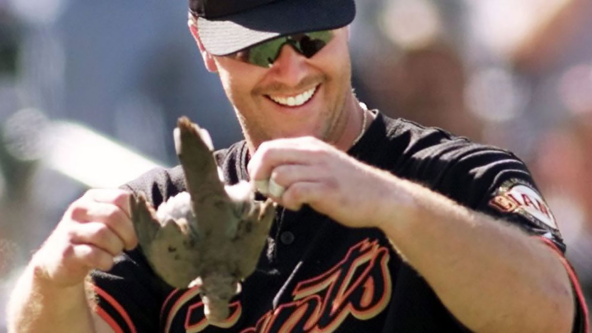 Arizona Diamondbacks pitcher Randy Johnson