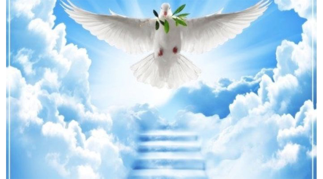 GoFundMe for Valenzuela Family