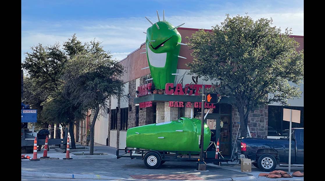 Angry Cactus | Live Photo Sonia RM