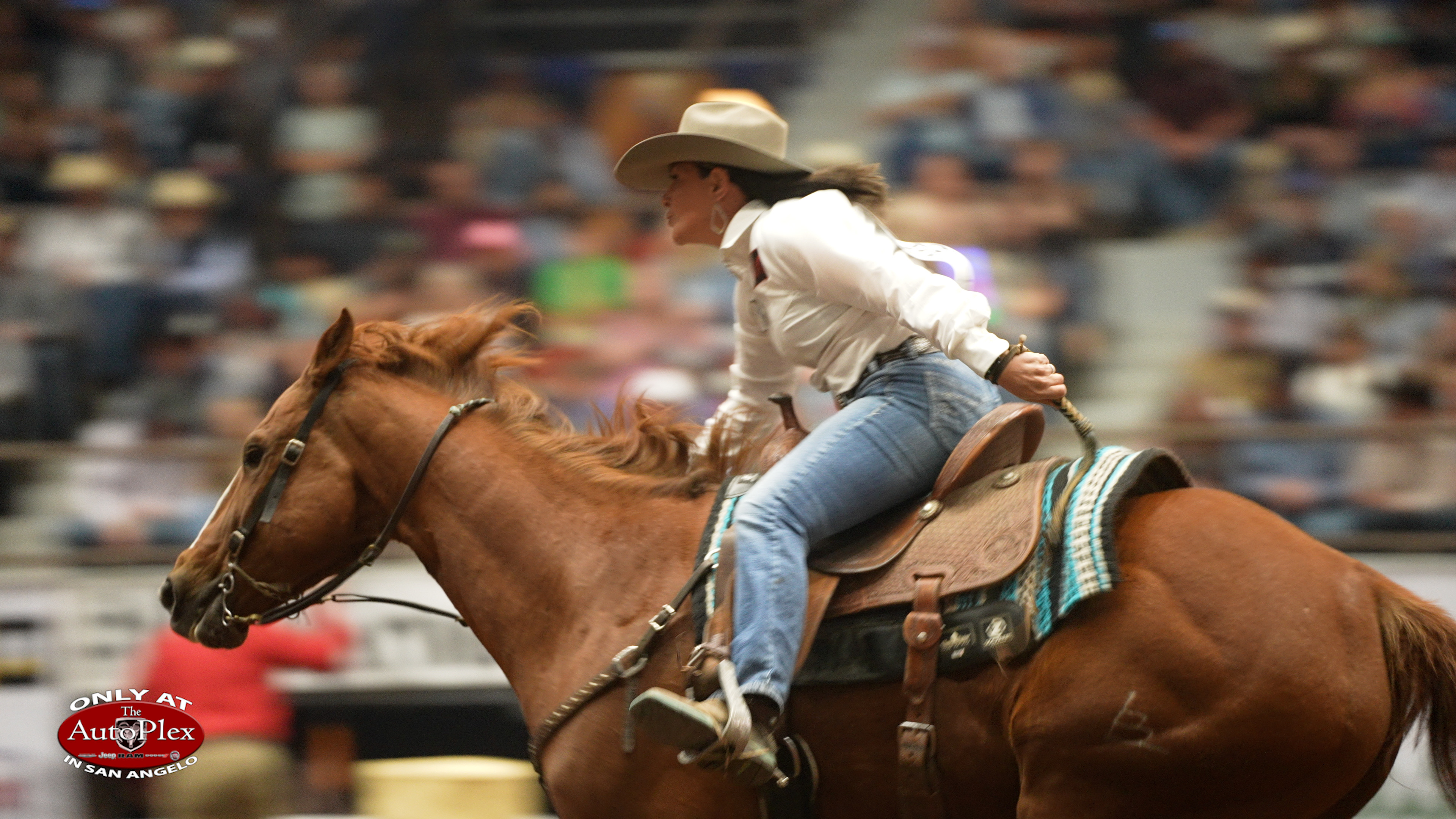 Chani Graves Barrel Racer