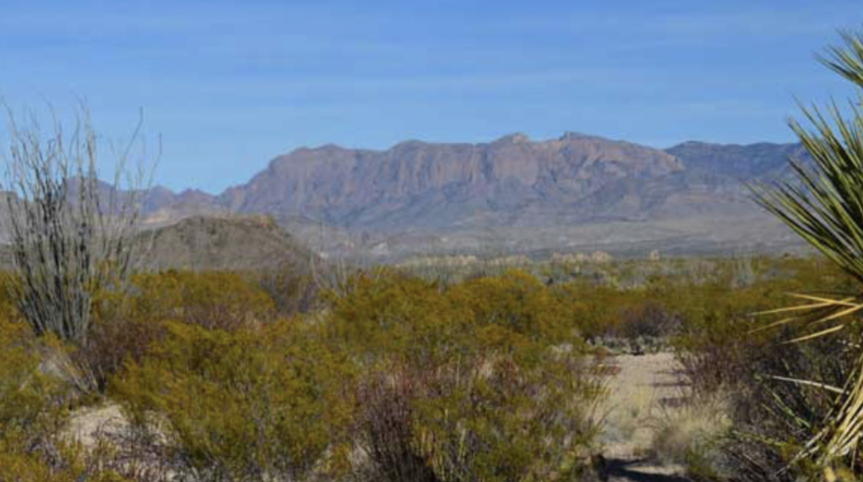 Big Bend National Park