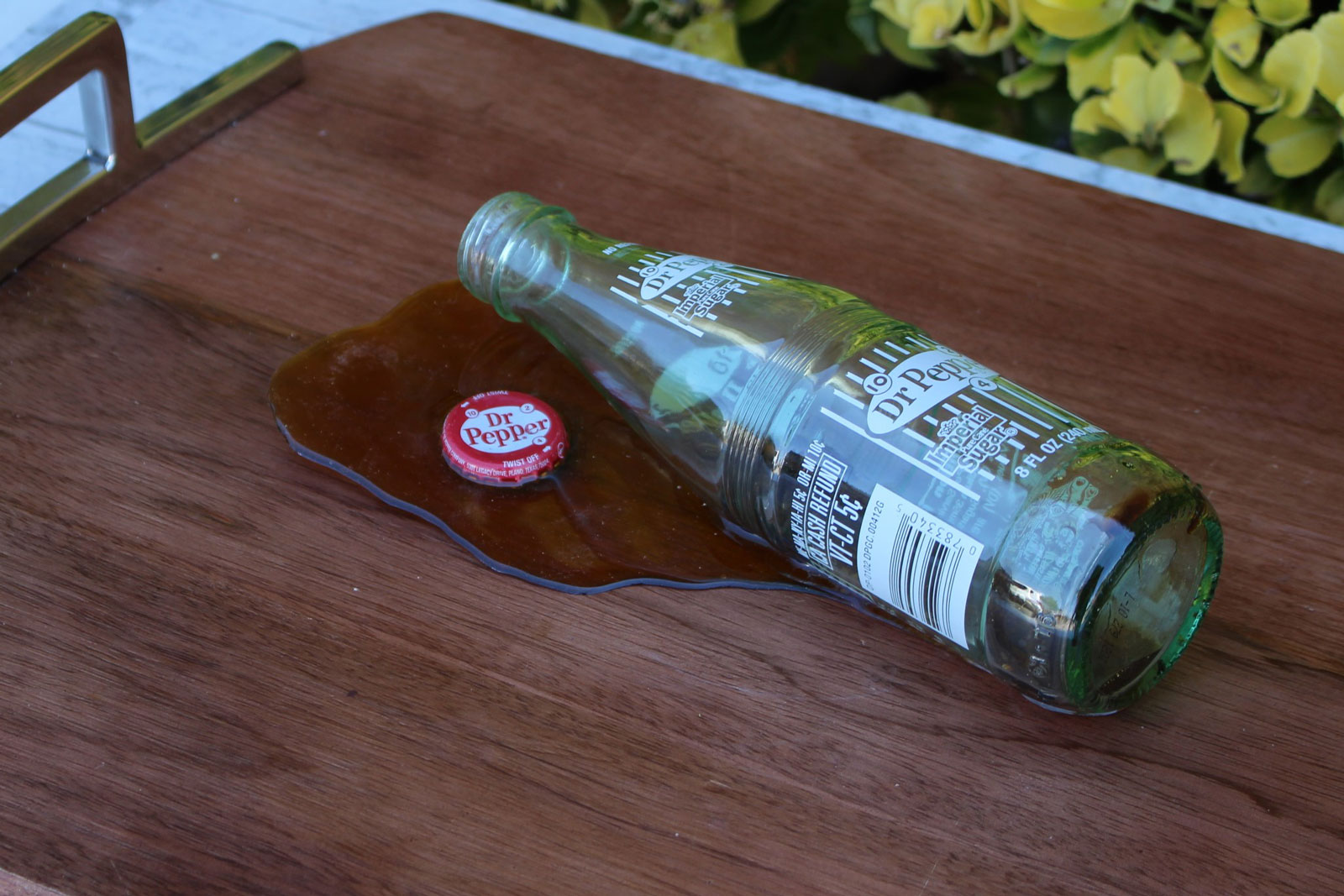 For half the cost of the ceiling pickle instructions, I will actually come to your actual house and spill actual Dr Pepper on your couch.