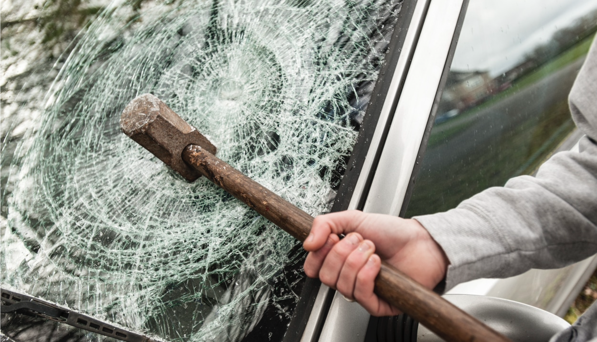 Criminal Mischief Image (Courtesy/Bronsino LF)