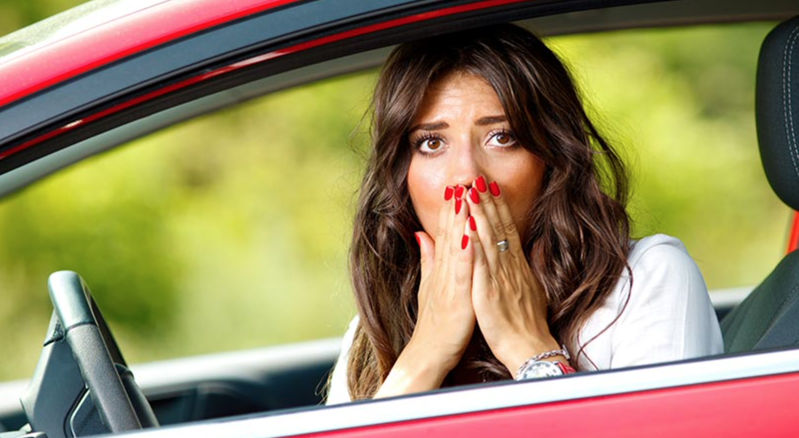 Witness to Indecent Exposure (Courtesy/Local Solicitors)