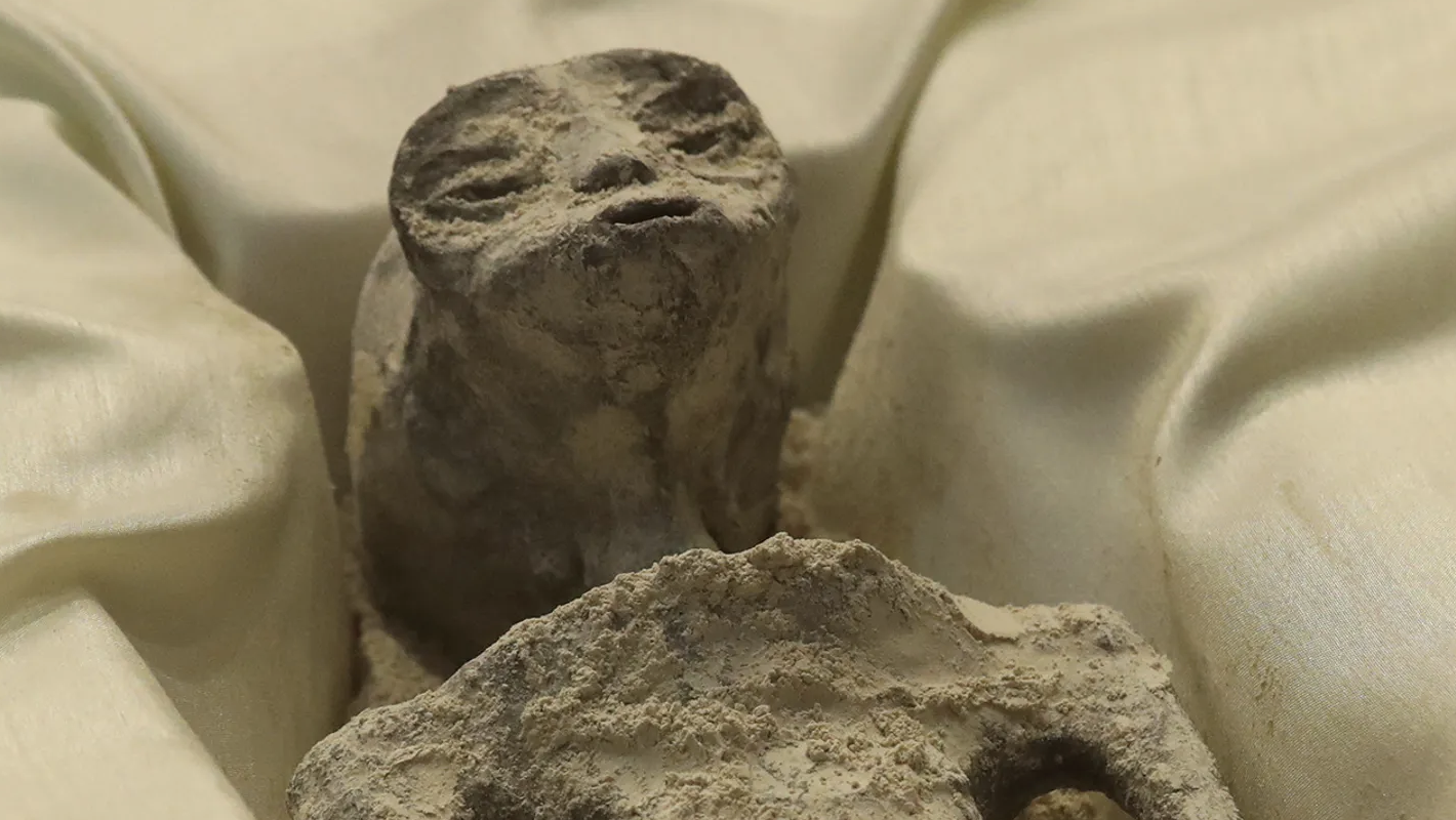 Mummified Non Human Being