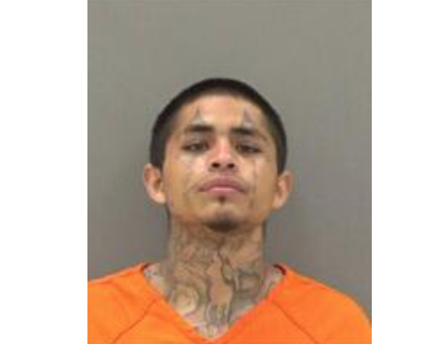 Ray Alvarado Mugshot (Courtesy TGCSO)