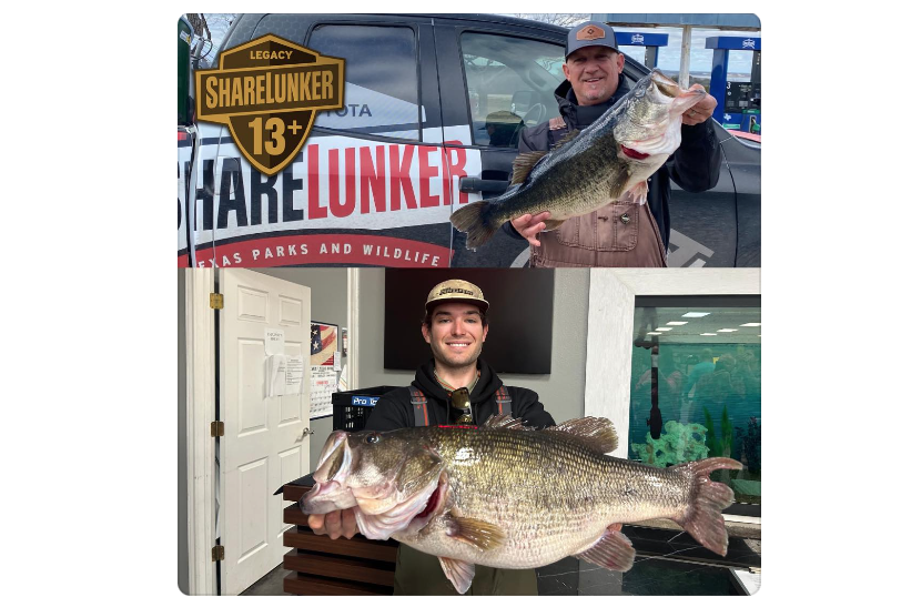 Double ShareLunker Day (Courtesy Inland Fisheries)
