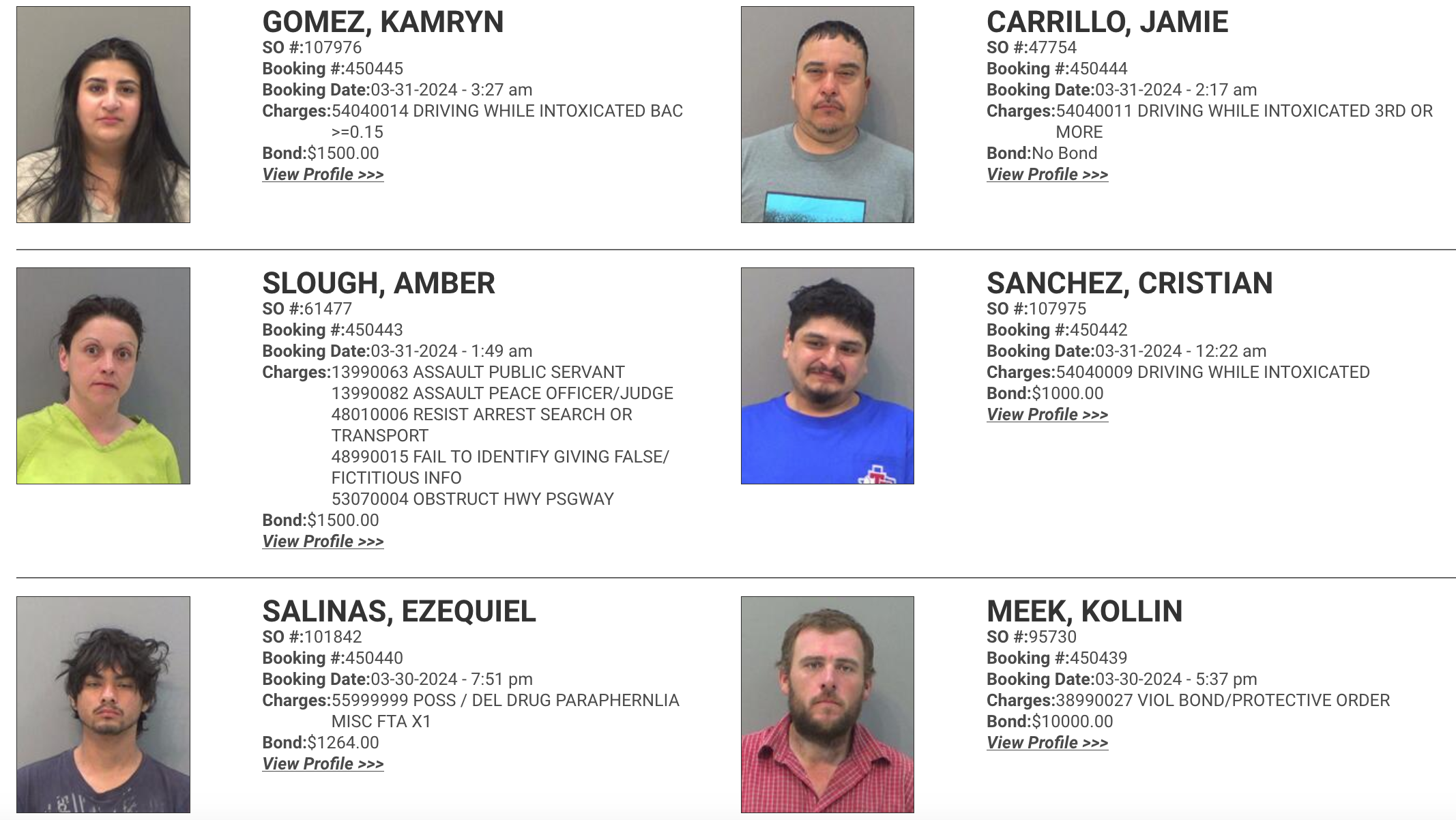 TCGSO Mugshots 3.30.24 Courtesy TGCSO