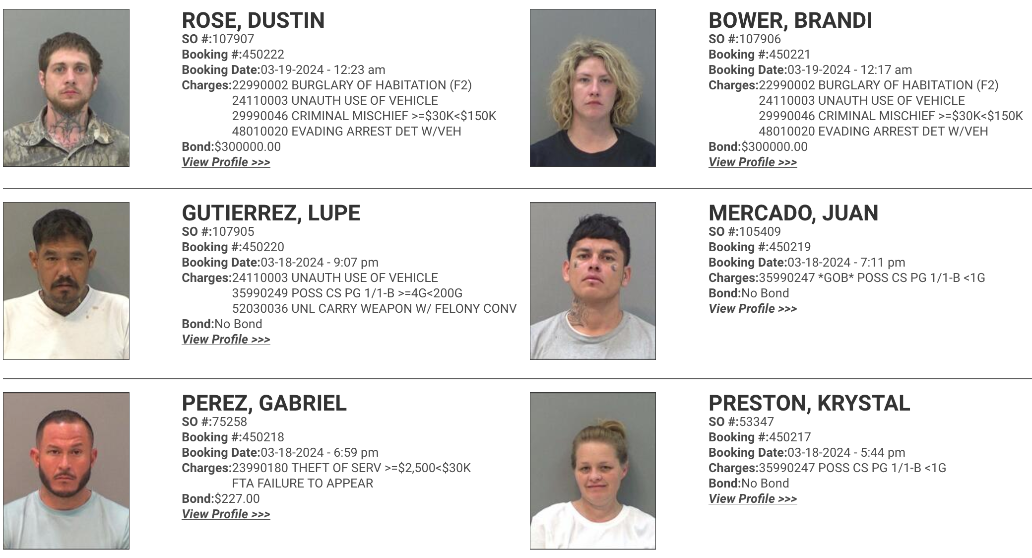 Rose &amp; Bower Jailed for Crime Spree Courtesy TGCSO