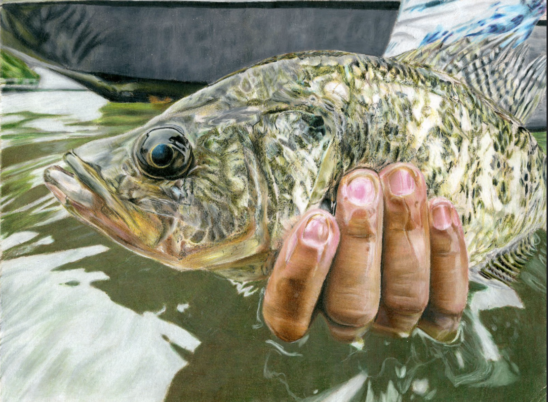 Mia Macias 1st Place Fish Art TPWD 2024 (Courtesy TPWD)