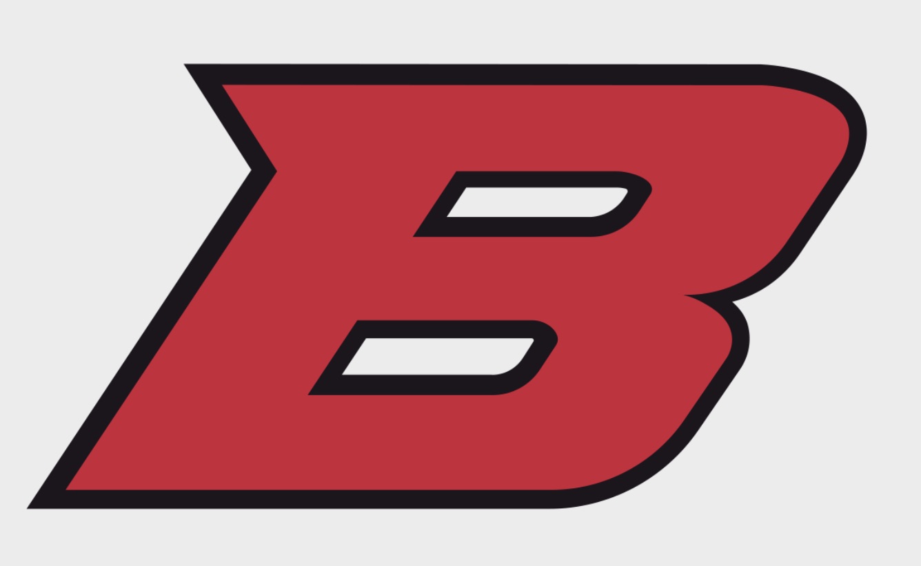 Ballinger Bearcats logo