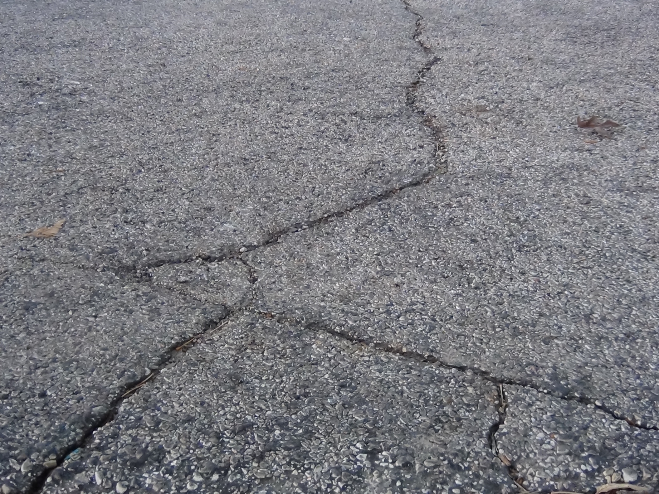 A cracked road (LIVE! photo by Cheyenne Benson)