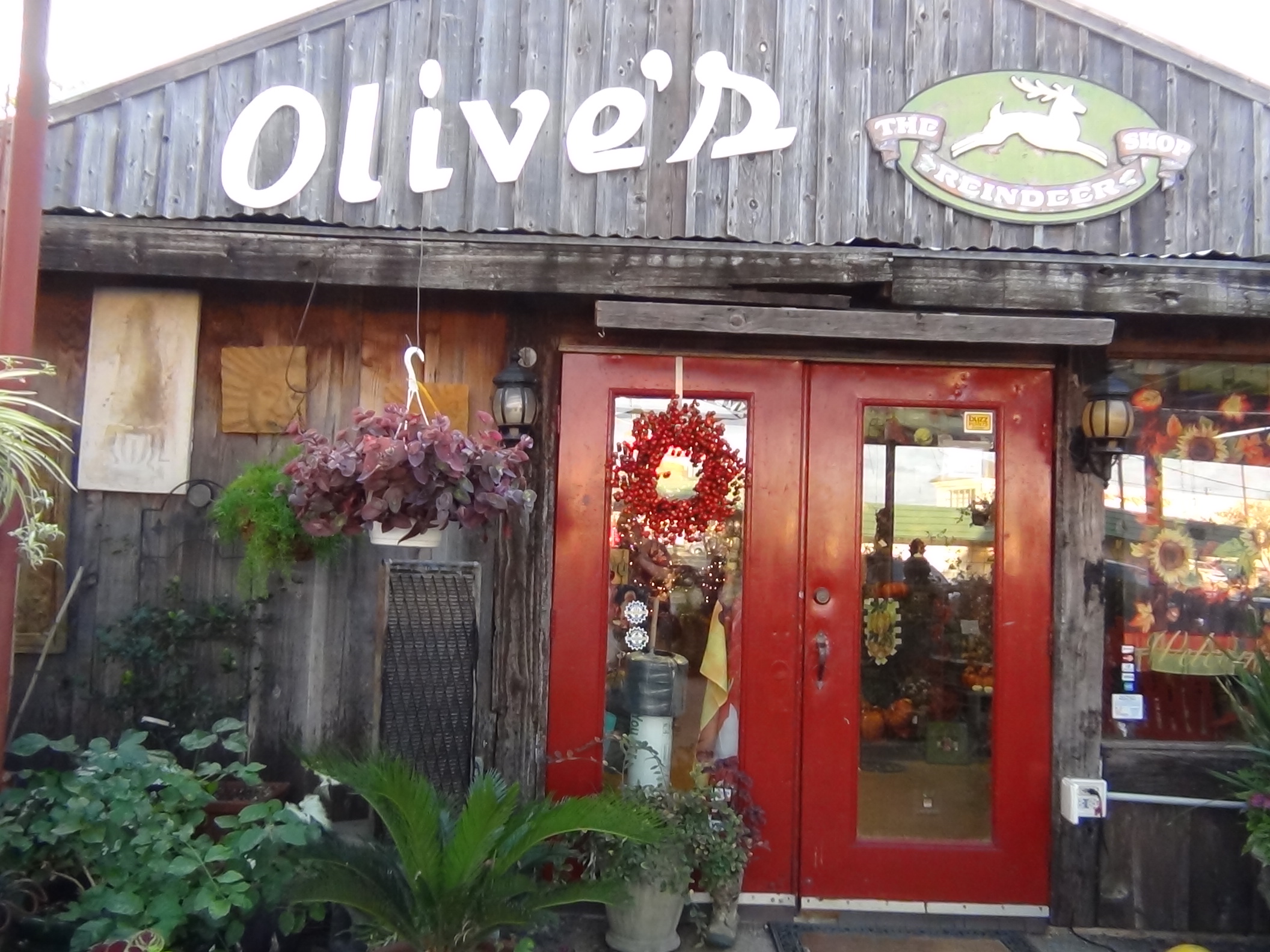 Olive's Nursery on Sherwood has been around for 71 years (LIVE! photo by Cheyenne Benson)