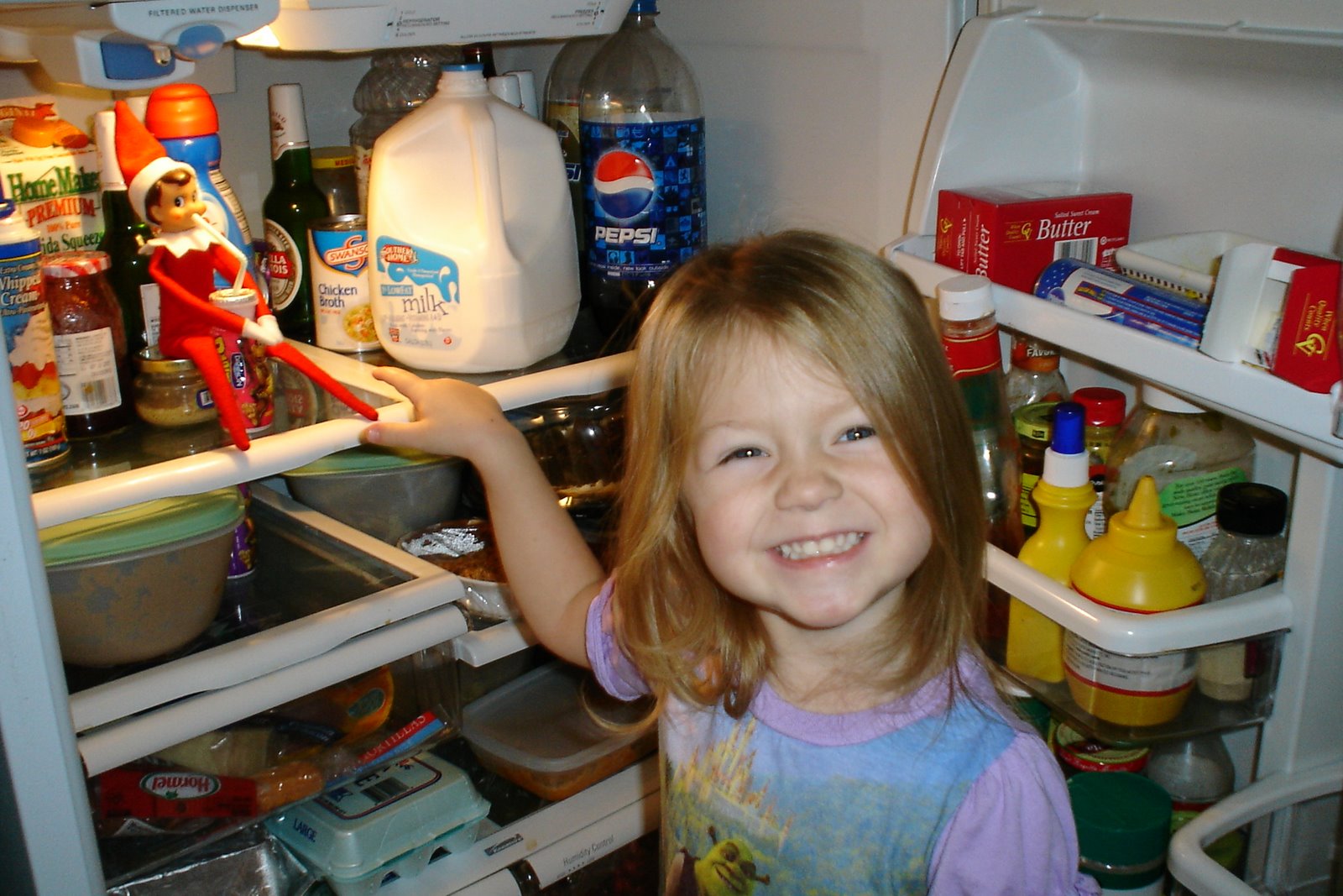 Elves can hide in unusual places like the refrigerator (photo courtesy of scjohnson.blogspot.com)