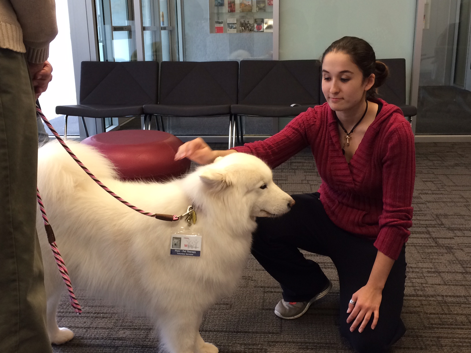 Therapy dogs Bucky and Flyer were at ASU on Monday to help students relax as they study for finals. (LIVE! Photo/John Basquez)