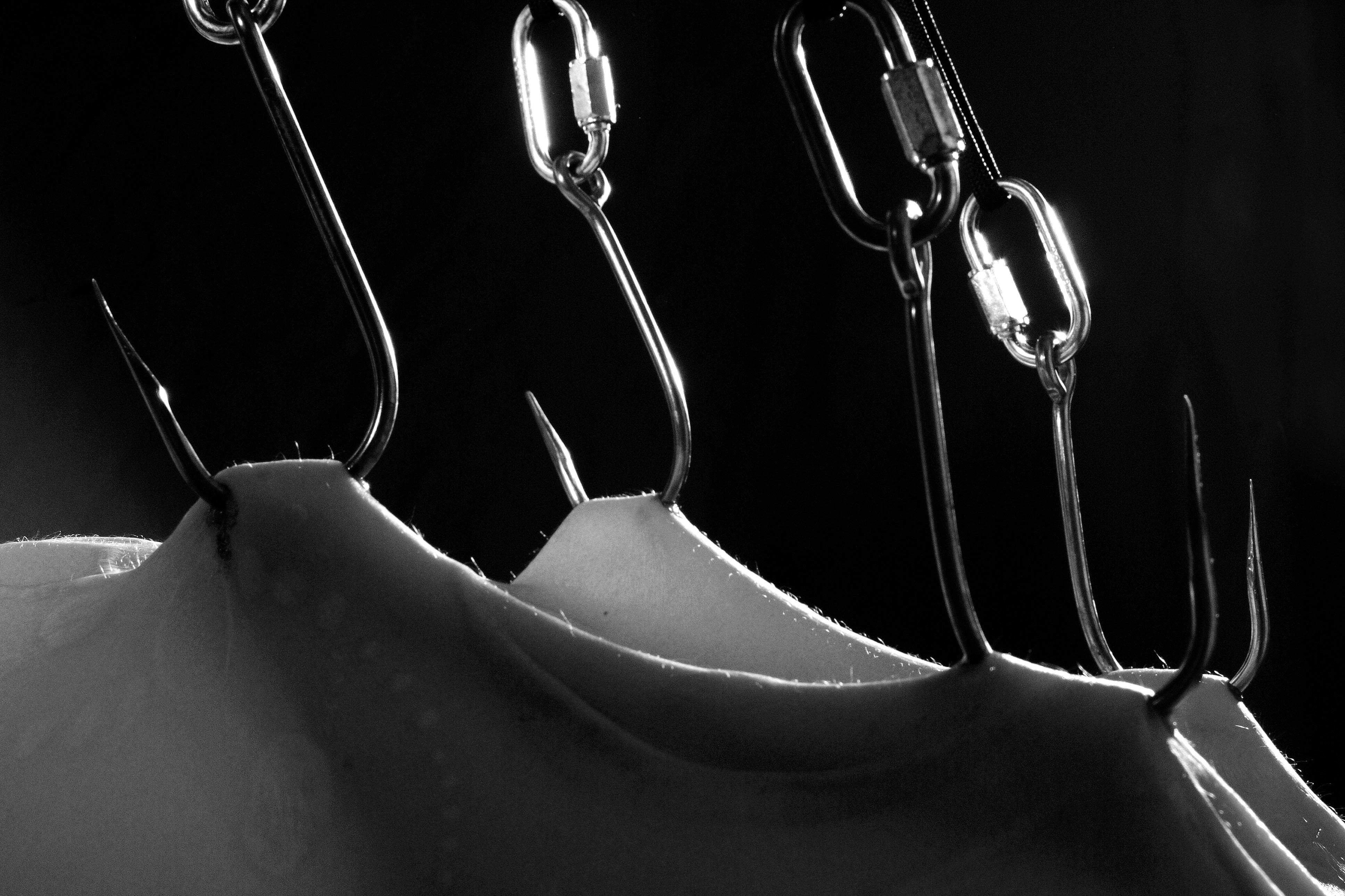 Image/ascensionsuspension.com