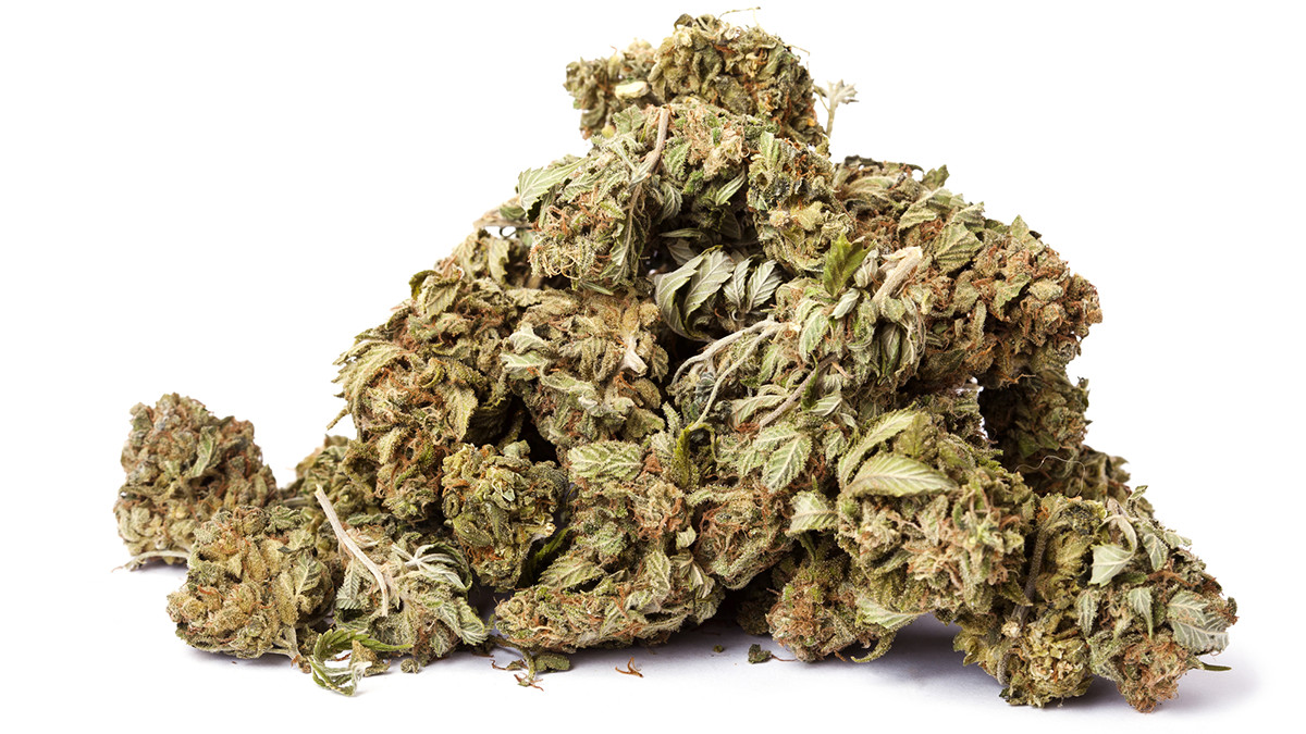 Marijuana Buds (LIVE! Photo Archive)