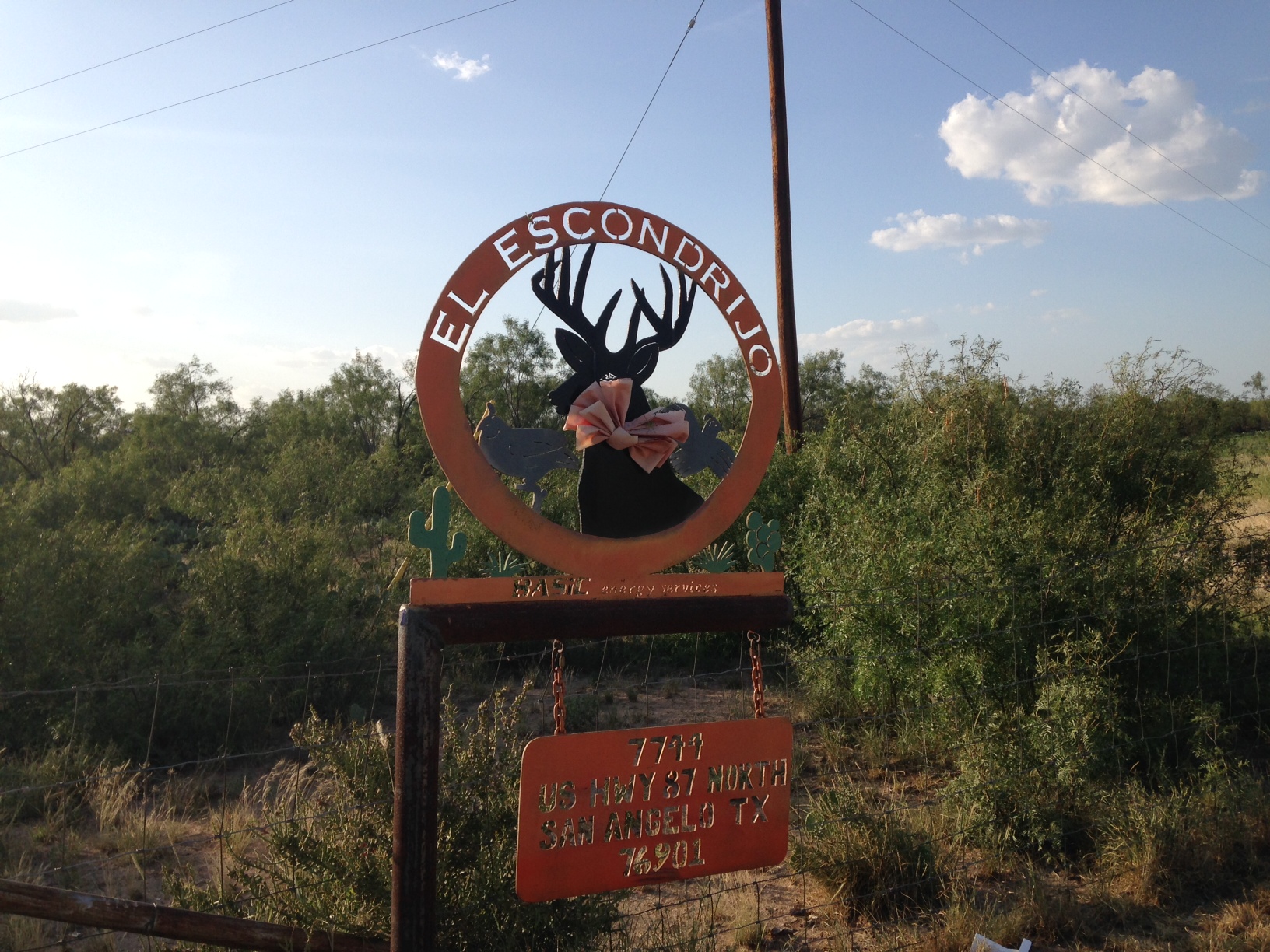 LIVE! Photo/Joe Hyde