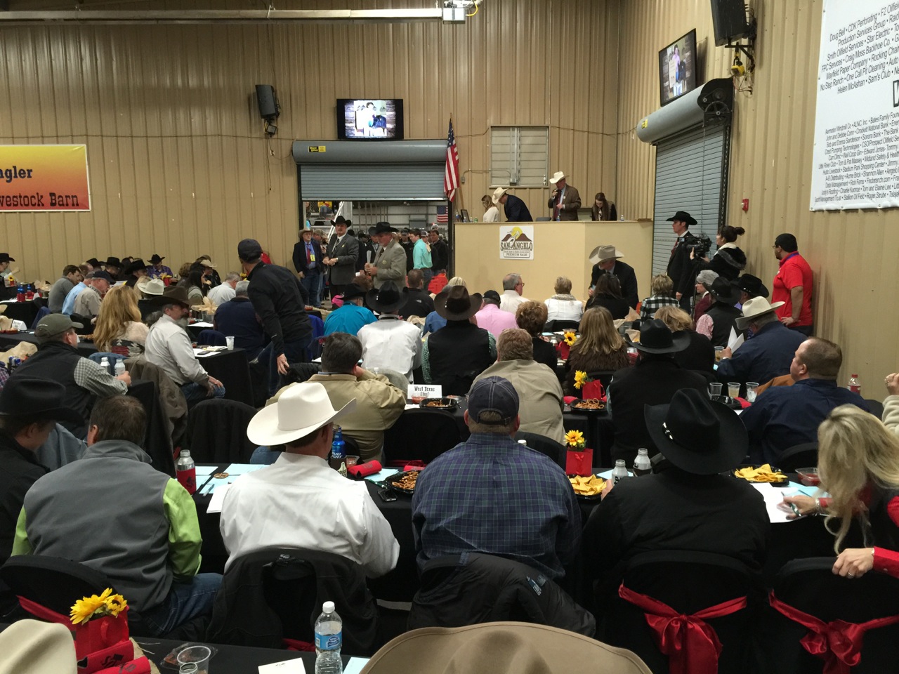 The San Angelo Stock Show and Rodeo Premium Sale was held Saturday, Feb. 28, 2015. (LIVE! Photo/Joe Hyde)