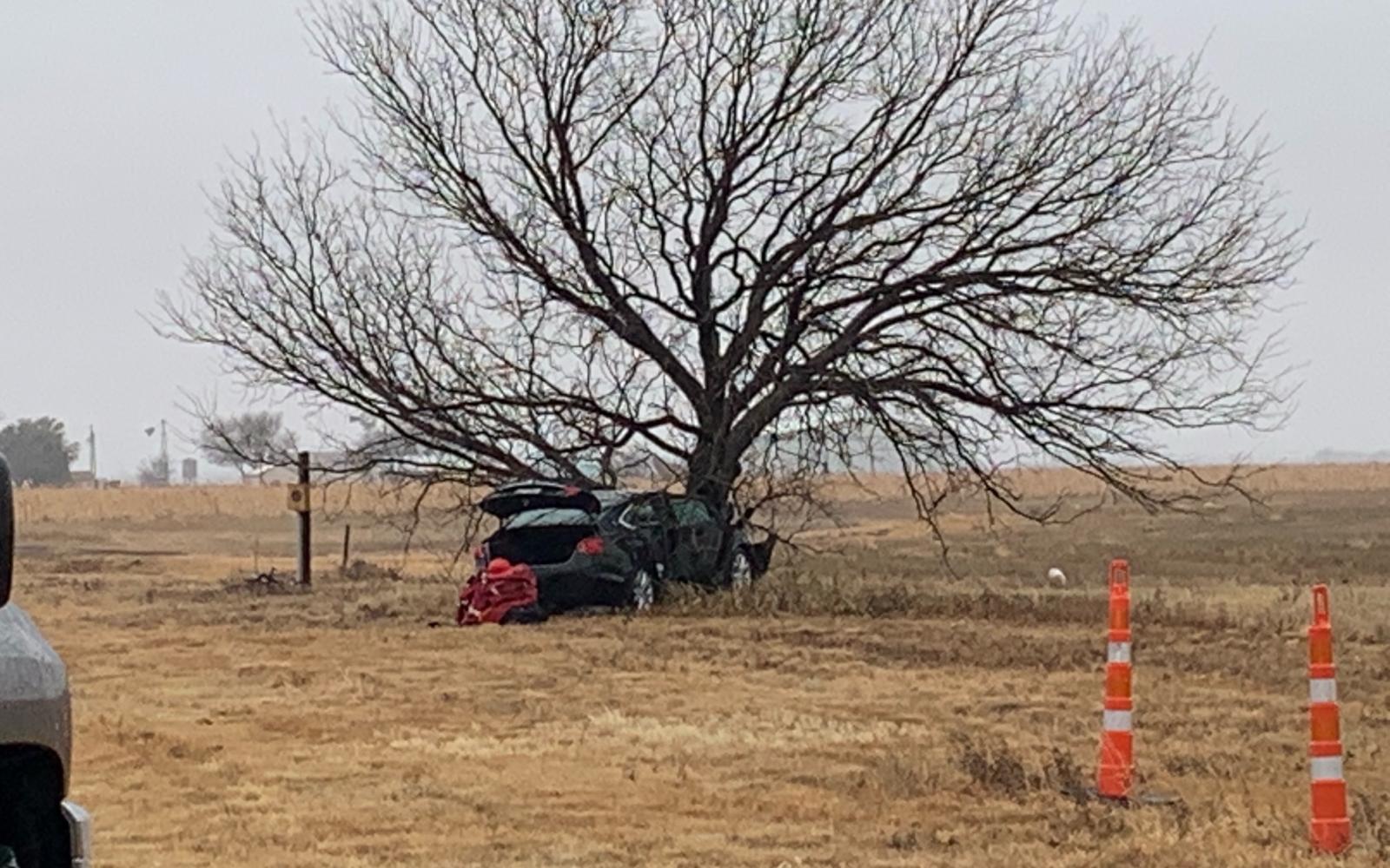 Car Crashes Into Only Tree for Miles (LIVE! Photo/Matt Trammell)