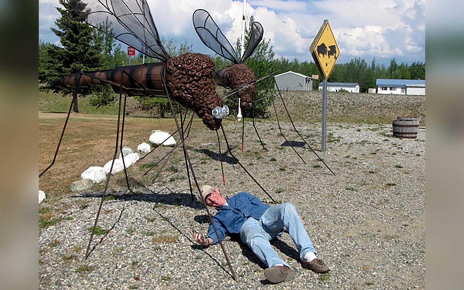 Mosquitoes