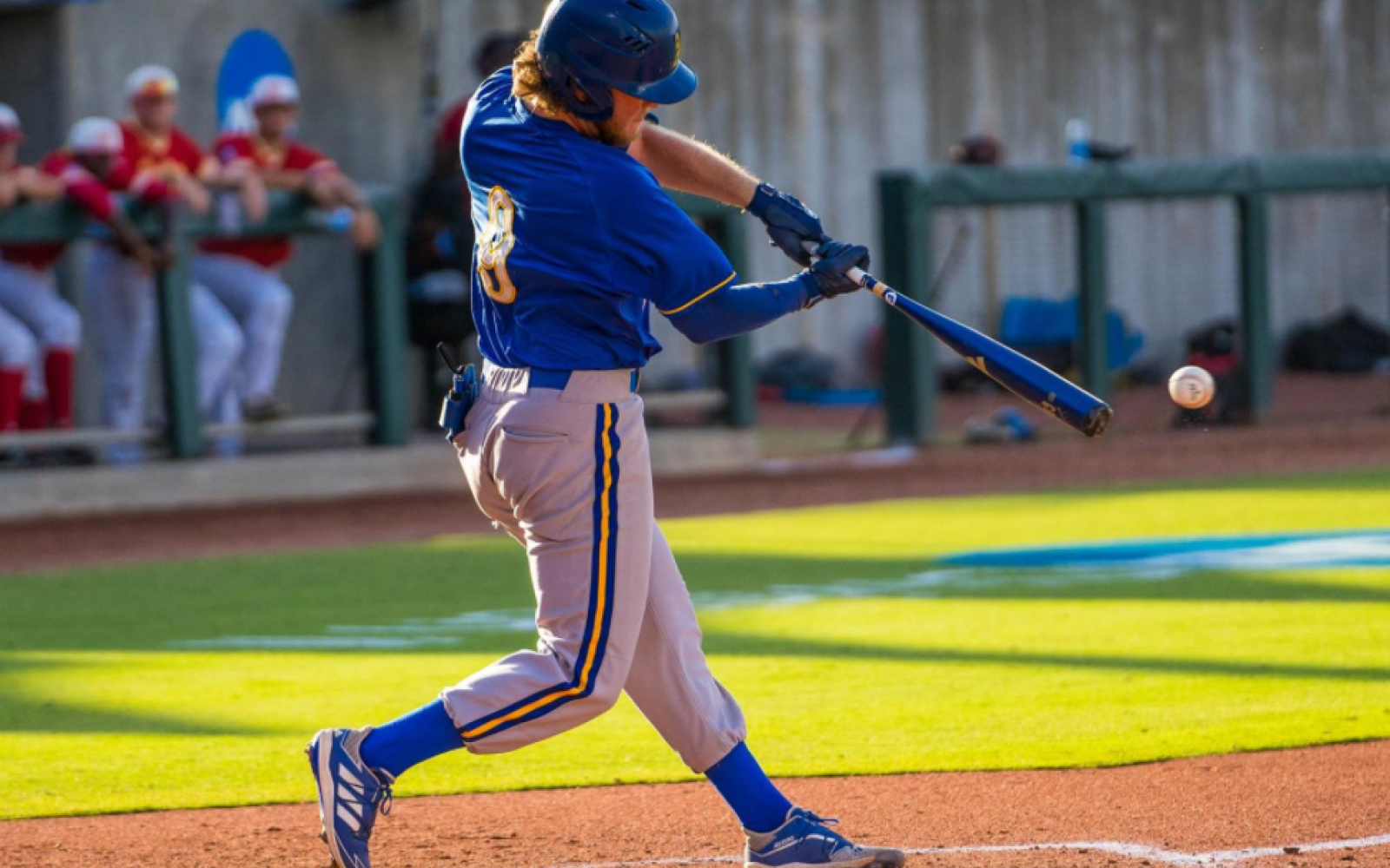 Angelo State Baseball