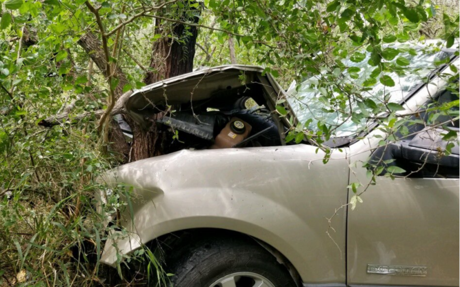 Illegal Alien Crashes Vehicle into Tree (Contributed/CBP)