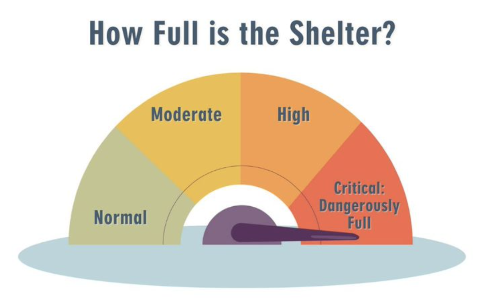 Shelter Full