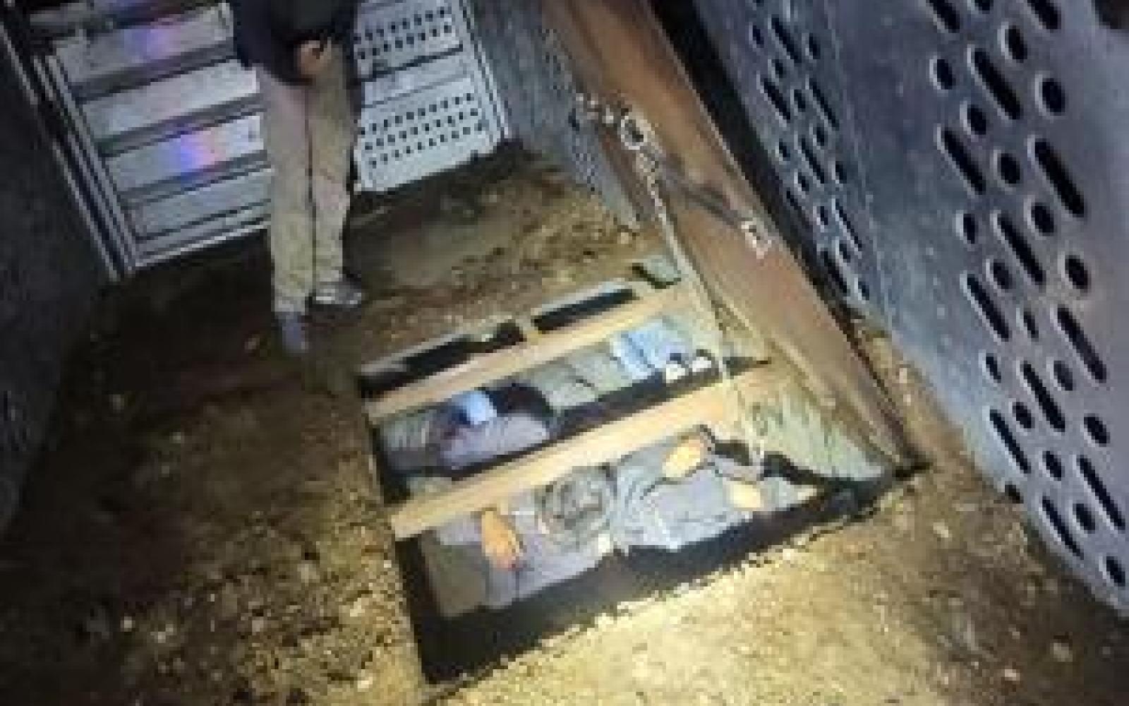 Illegal migrants Hidden Under Cattle Trailer Floor (Contributed/CBP)