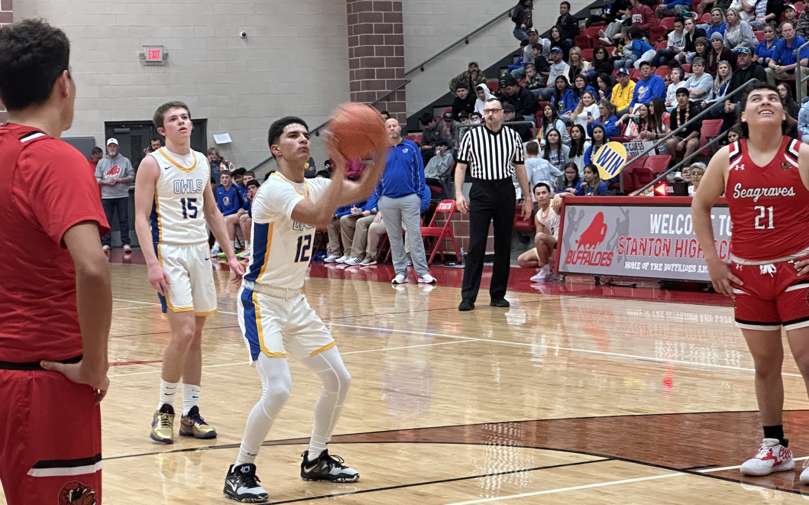 Reagan County Owls