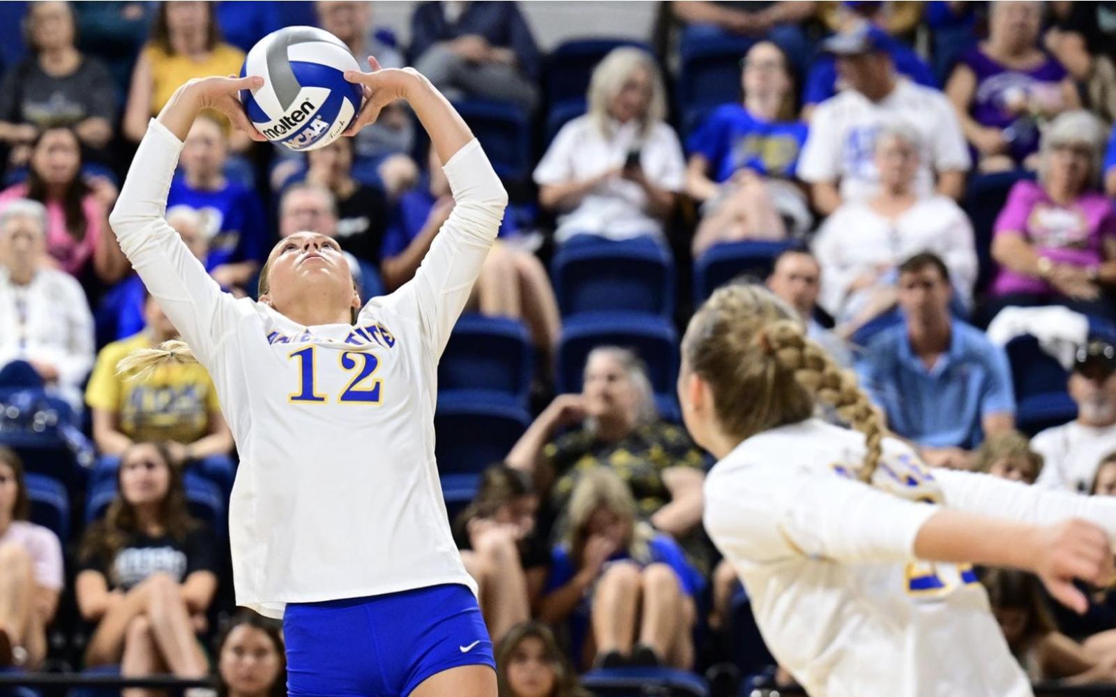 Angelo State Volleball's Laney Dale