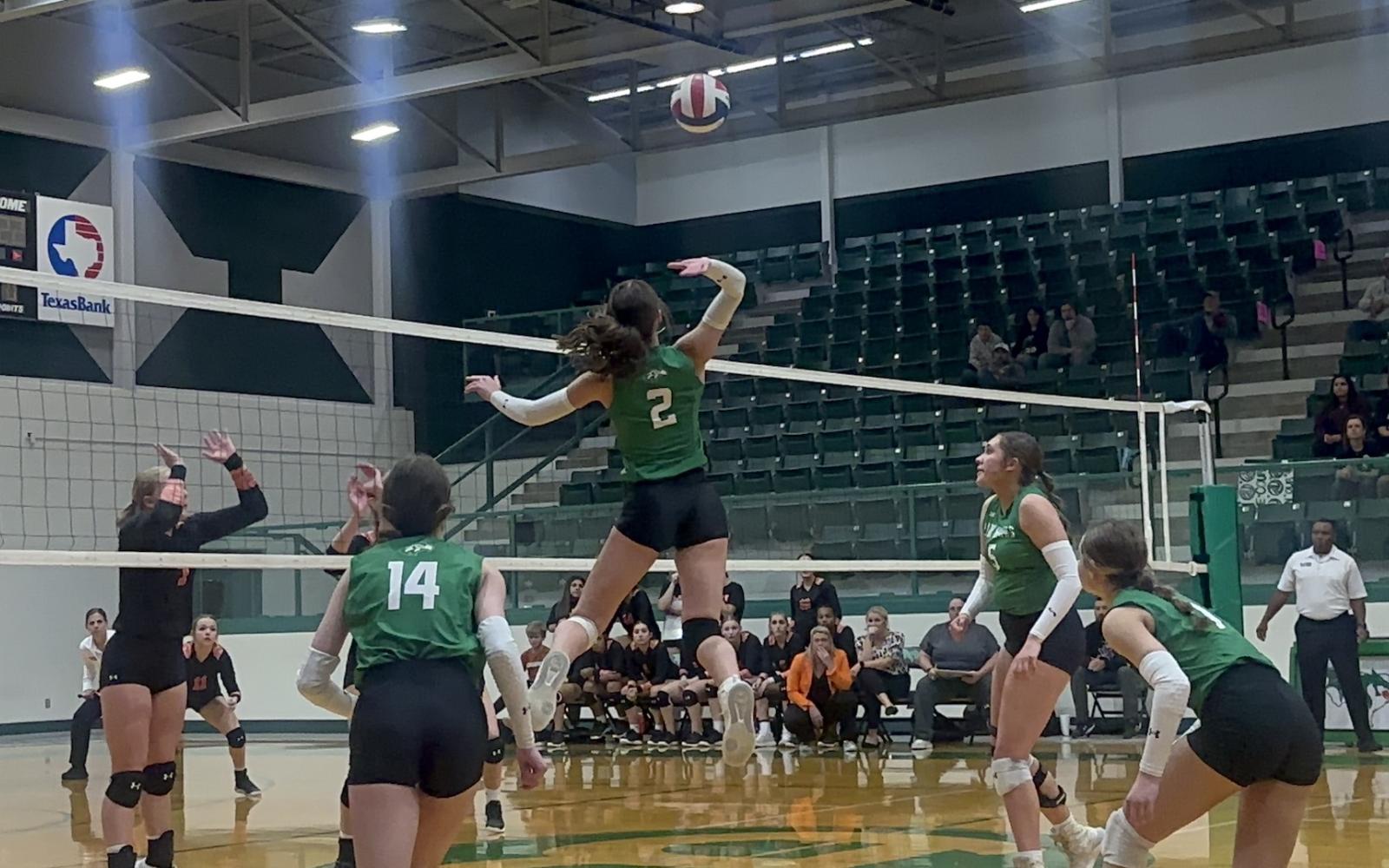 Wall Lady Hawks on the Attack