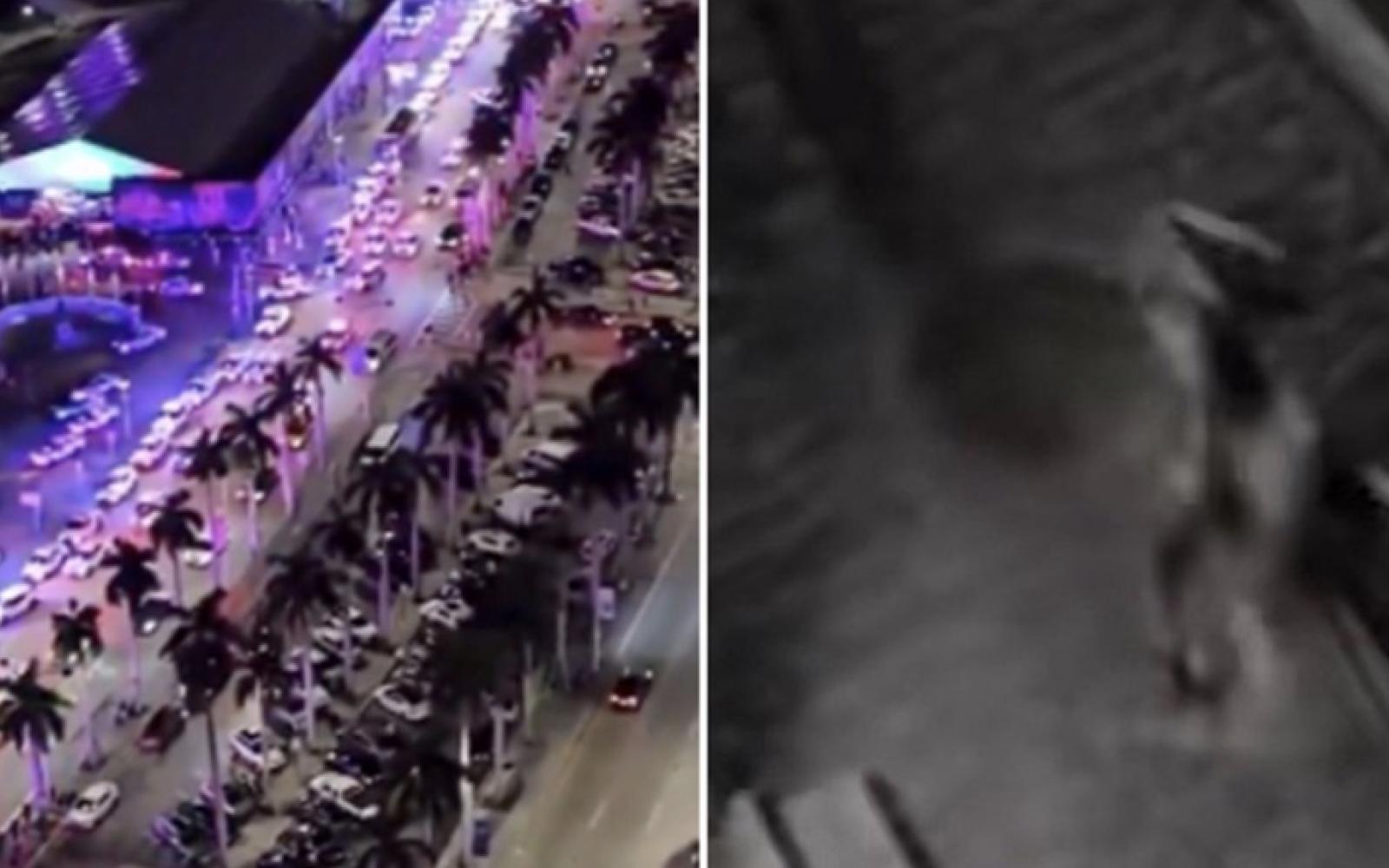 Camera Shot of Alien