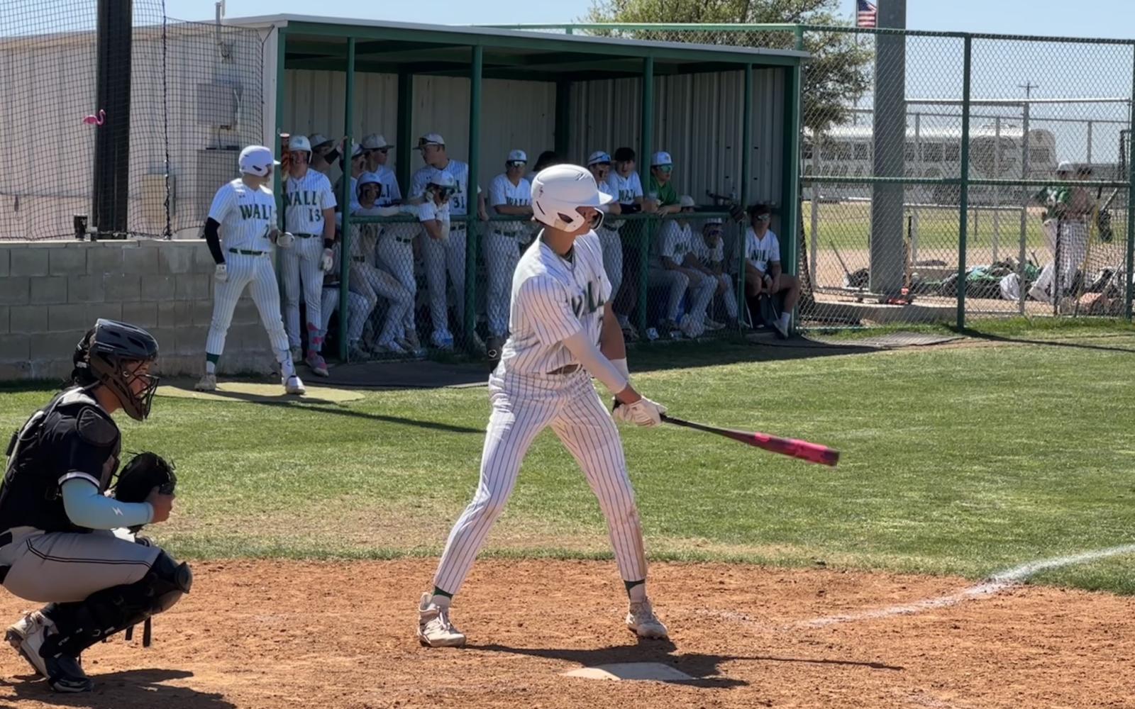 Wall Hawks Augden Hallmark