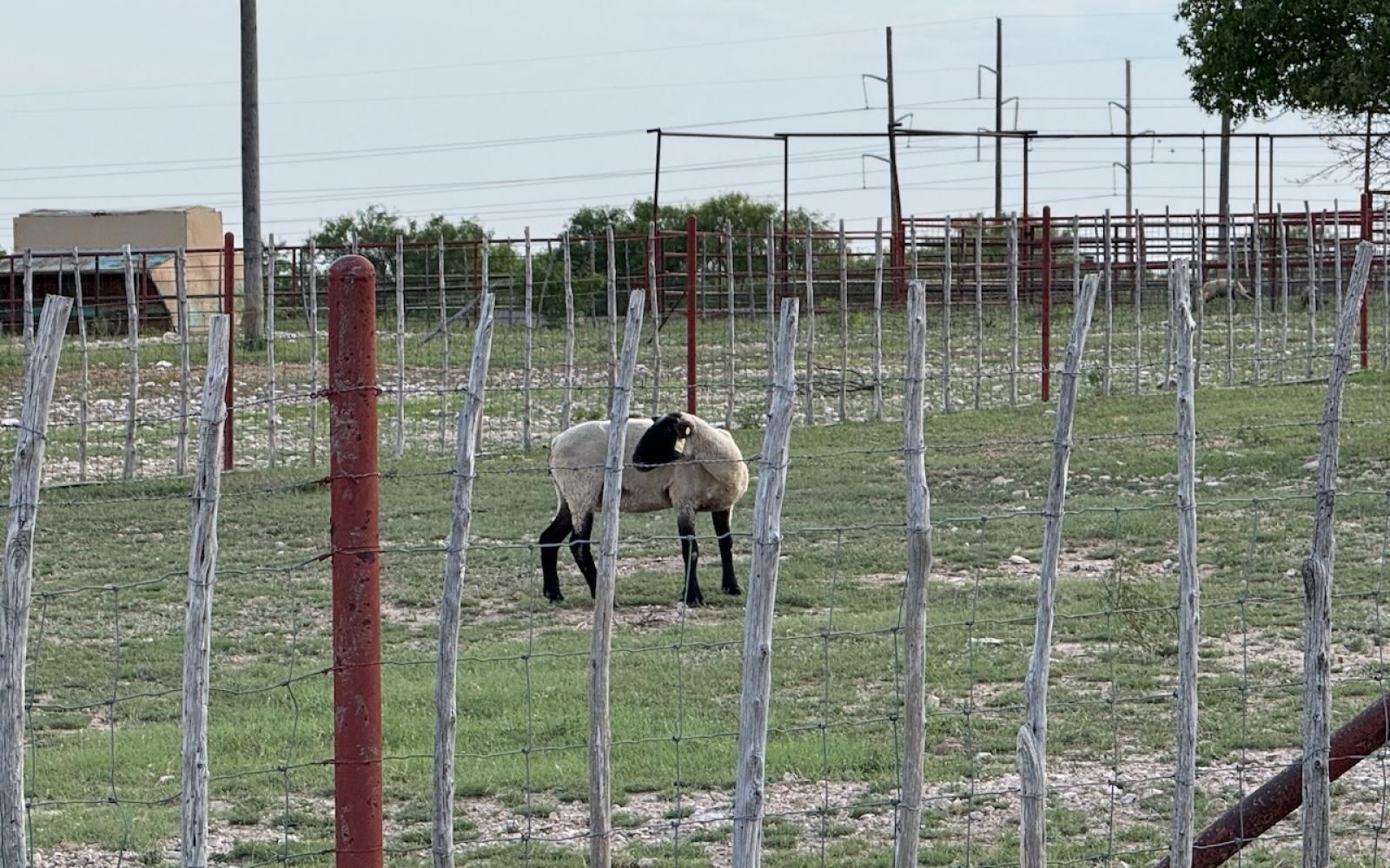 The land Cypher acquired will no longer have ag-related businesses.