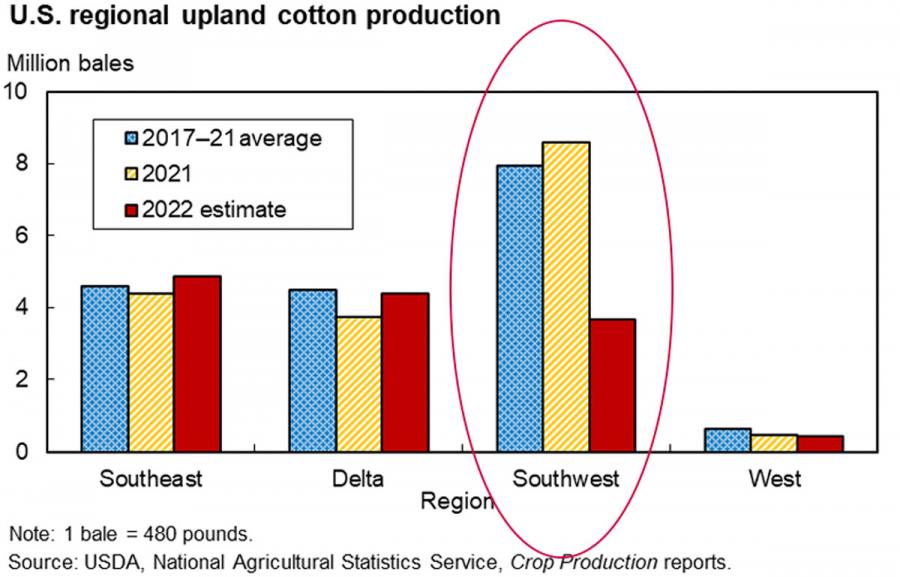 US Cotton Production by region, 2022