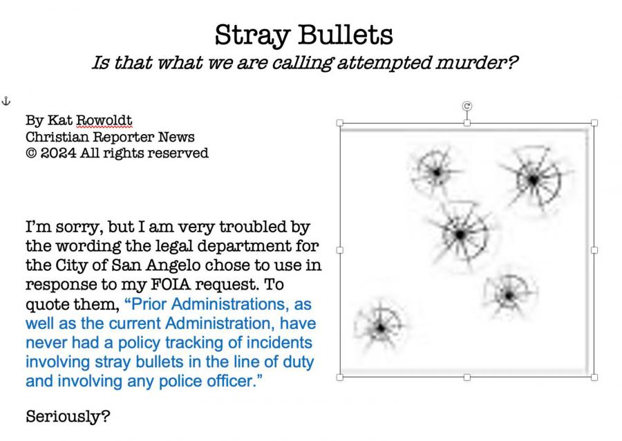 Rowlodt's post on Facebook complaining of "Stray Bullets" and casting doubt on Mike Hernandez's herosim.