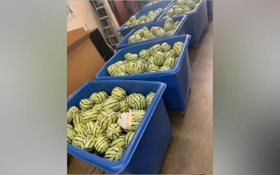 CBP Officers Find $5 Million Worth of Meth Disguised as Watermelons