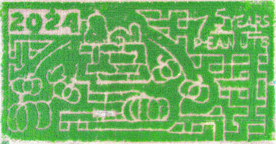 Circle S Corn Maze Partners with Peanuts to Celebrate 75th Anniversary