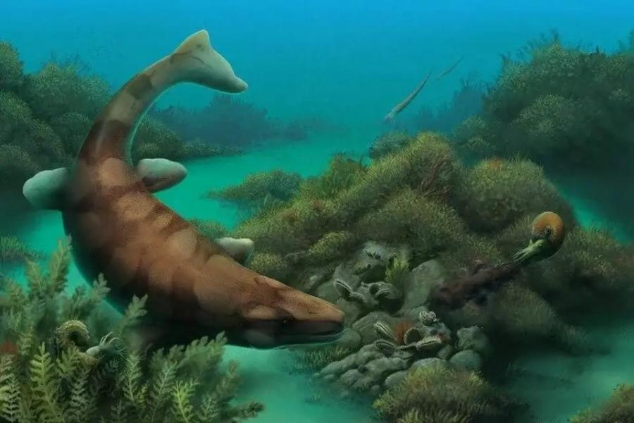 Rare 80-Million-Year-Old Fossils Unearthed in Northeast Texas