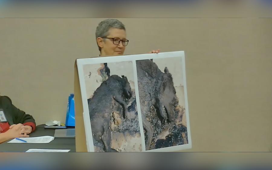 Picture shown at the Dec.3 City Council meeting