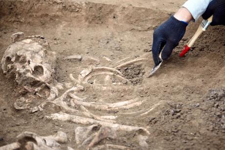 Archaeology