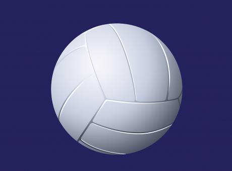 Volleyball image