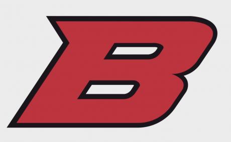 Ballinger Bearcats logo