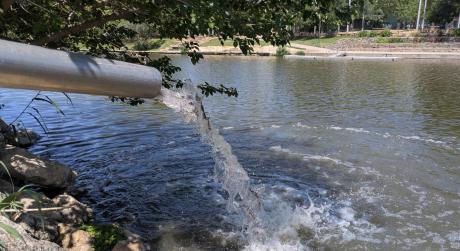 Catfish are being restocked in the Concho River