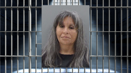 Michelle Penner, 56, Arrested