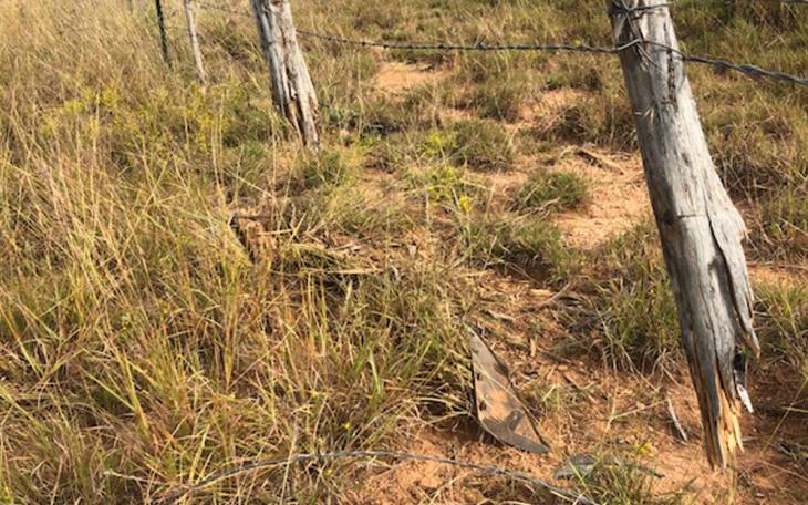 Pieces of Hernandez's Car Located in Empty Field in Jones County (Contributed Photo / Daniela Ibarra)