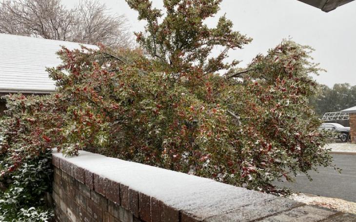 Snowmageddon 2020 New Year's Eve (LIVE! Photo/Yantis Green)